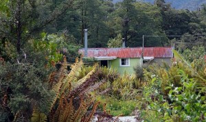 Cottage at Gunn's camp - Easyhike