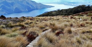 Kepler Track - View of Lake Te Anau from Luxmore Hut
