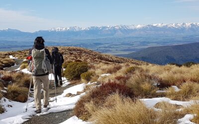 Winter Hiking: Top 5 Dangers in Fiordland National Park