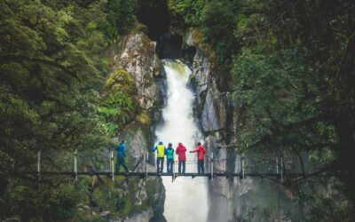 MILFORD TRACK TRANSPORT BOOKING GUIDE